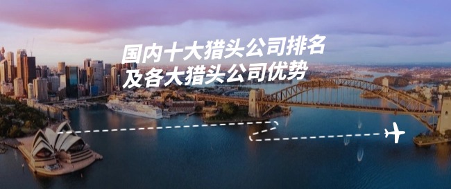 國內(nèi)十大獵頭公司排名及各大獵頭公司優(yōu)勢.jpg